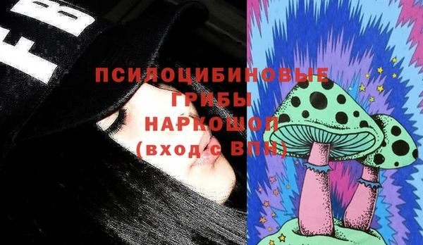 трава Коряжма