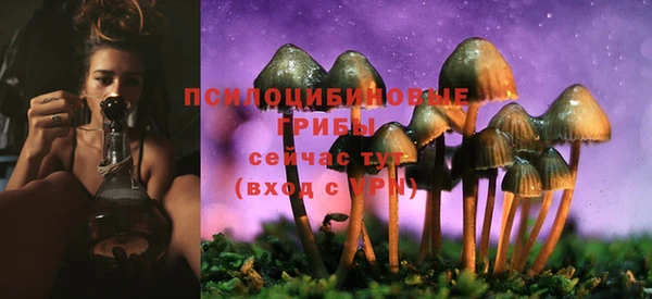 трава Коряжма