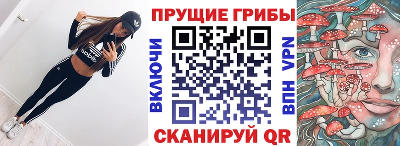 Псилоцибиновые грибы Cubensis  где найти   Козловка 